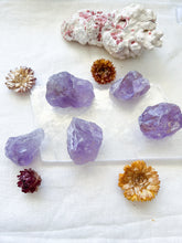 Load image into Gallery viewer, Amethyst Rough stones
